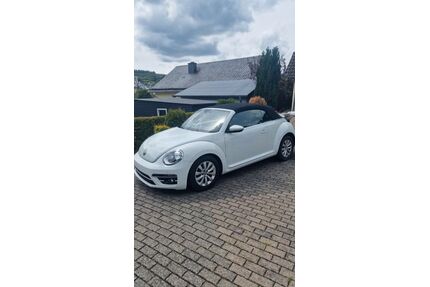 VW Beetle Gebrauchtwagen