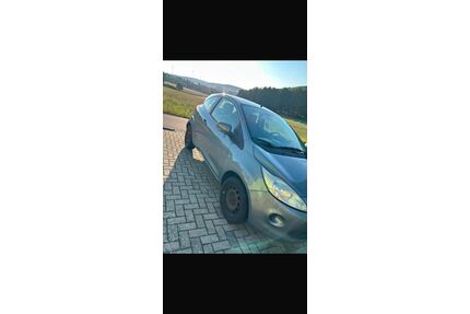 Ford Ka/Ka+ Gebrauchtwagen