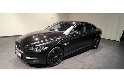 Jaguar XE Gebrauchtwagen