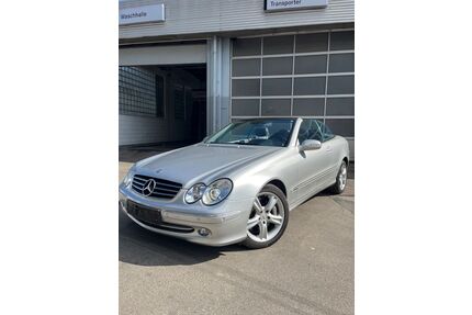 Mercedes-Benz CLK 500 Gebrauchtwagen