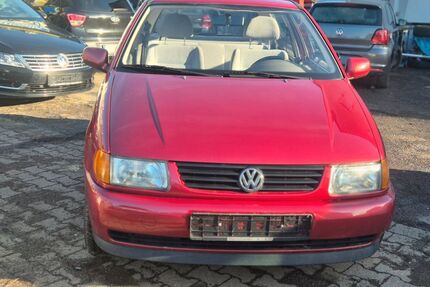 VW Polo Gebrauchtwagen