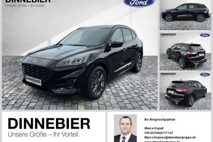 Ford Kuga Gebrauchtwagen