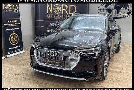 Audi e-tron Gebrauchtwagen