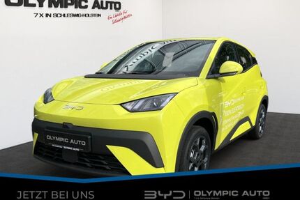 BYD DOLPHIN Gebrauchtwagen