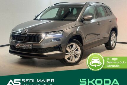 Skoda Karoq Gebrauchtwagen