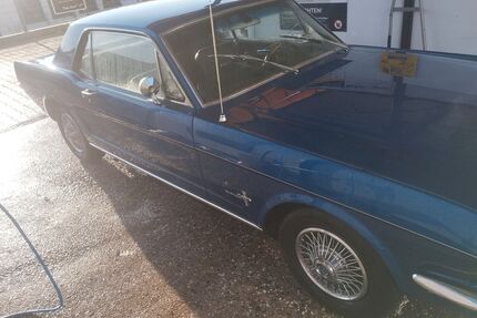 Ford Mustang Gebrauchtwagen