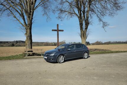 Opel Signum Gebrauchtwagen