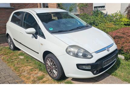 Fiat Punto Gebrauchtwagen