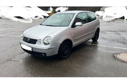 VW Polo Gebrauchtwagen