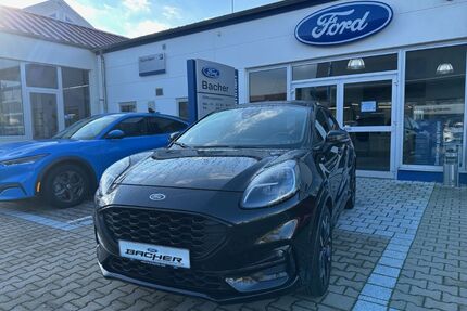 Ford Puma Gebrauchtwagen