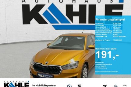 Skoda Fabia Gebrauchtwagen