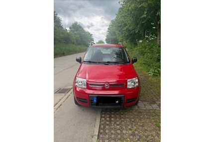 Fiat Panda Gebrauchtwagen