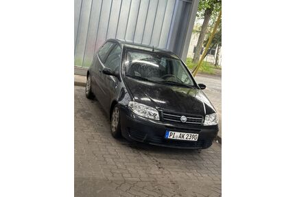 Fiat Punto Gebrauchtwagen