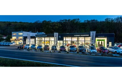 Dacia Spring Gebrauchtwagen