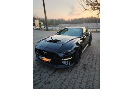 Ford Mustang Gebrauchtwagen