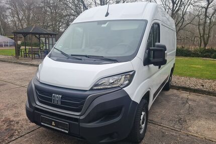 Fiat Ducato Gebrauchtwagen