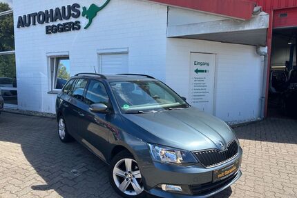 Skoda Fabia Gebrauchtwagen