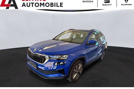 Skoda Karoq Gebrauchtwagen