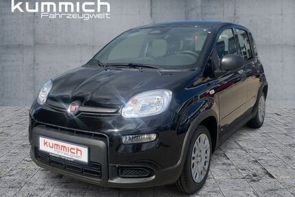 Fiat Panda Gebrauchtwagen