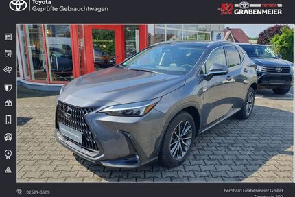 Lexus NX 350h Gebrauchtwagen