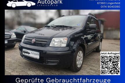 Fiat Panda Gebrauchtwagen