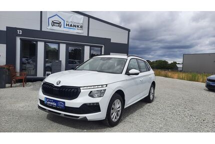 Skoda Kamiq Gebrauchtwagen