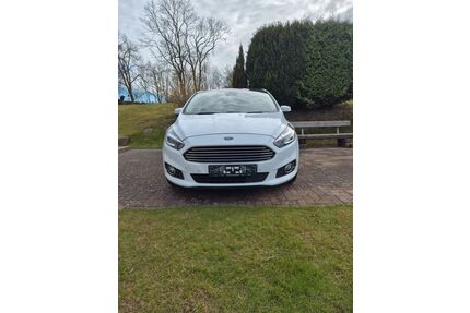 Ford S-Max Gebrauchtwagen