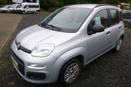 Fiat Panda Gebrauchtwagen