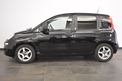 Fiat Panda Gebrauchtwagen