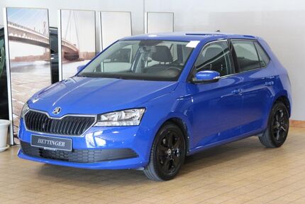 Skoda Fabia Gebrauchtwagen