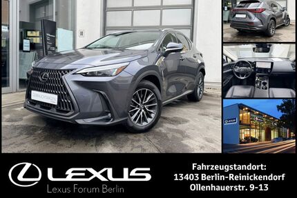 Lexus NX 450h Gebrauchtwagen