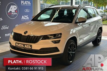 Skoda Karoq Gebrauchtwagen