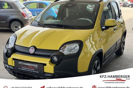 Fiat Panda Gebrauchtwagen