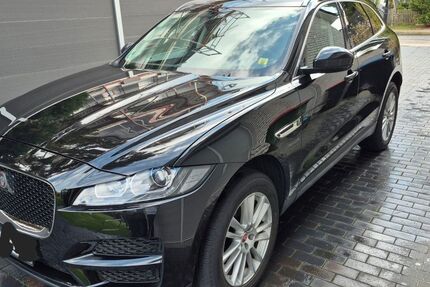 Jaguar F-Pace Gebrauchtwagen