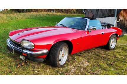 Jaguar XJS Gebrauchtwagen