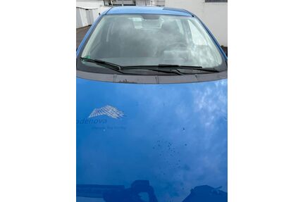 Fiat Punto Gebrauchtwagen