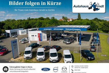Ford EcoSport Gebrauchtwagen