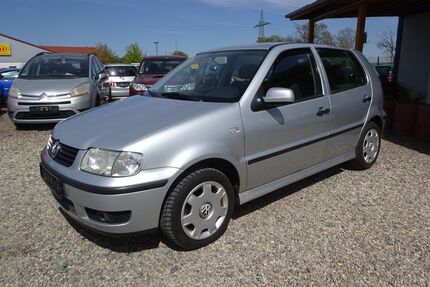 VW Polo Gebrauchtwagen