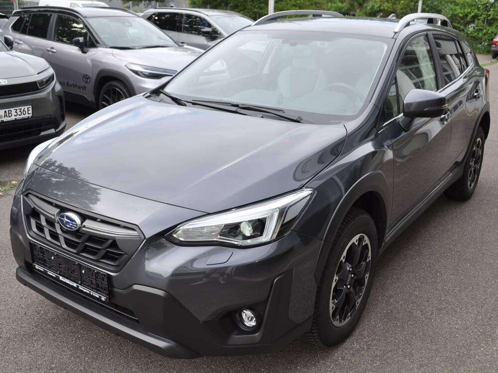 XV