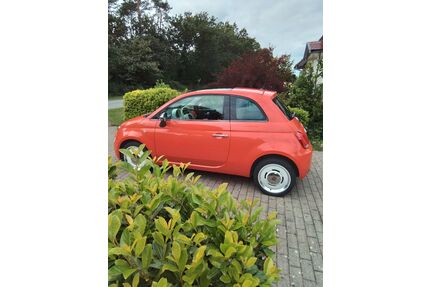 Fiat 500 Gebrauchtwagen