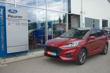 Ford Kuga Gebrauchtwagen