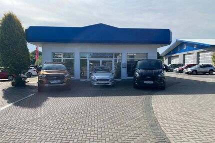 Ford Puma Gebrauchtwagen