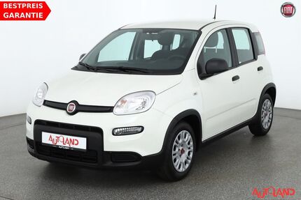 Fiat Panda Gebrauchtwagen