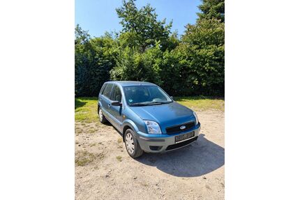 Ford Fusion Gebrauchtwagen