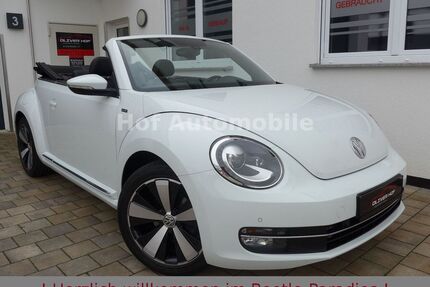 VW Beetle Gebrauchtwagen