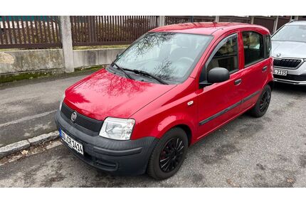 Fiat Panda Gebrauchtwagen