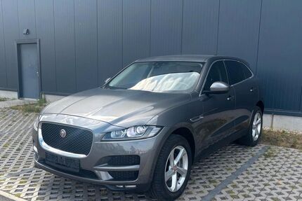 Jaguar F-Pace Gebrauchtwagen