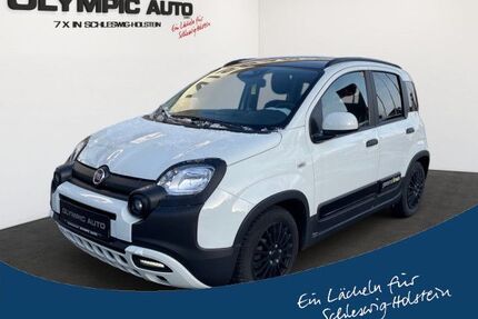 Fiat Panda Gebrauchtwagen