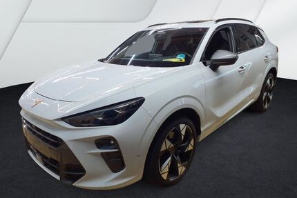 Cupra Terramar Gebrauchtwagen