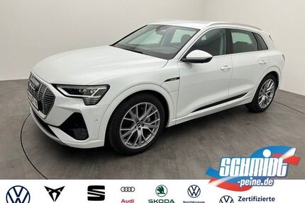 Audi e-tron Gebrauchtwagen